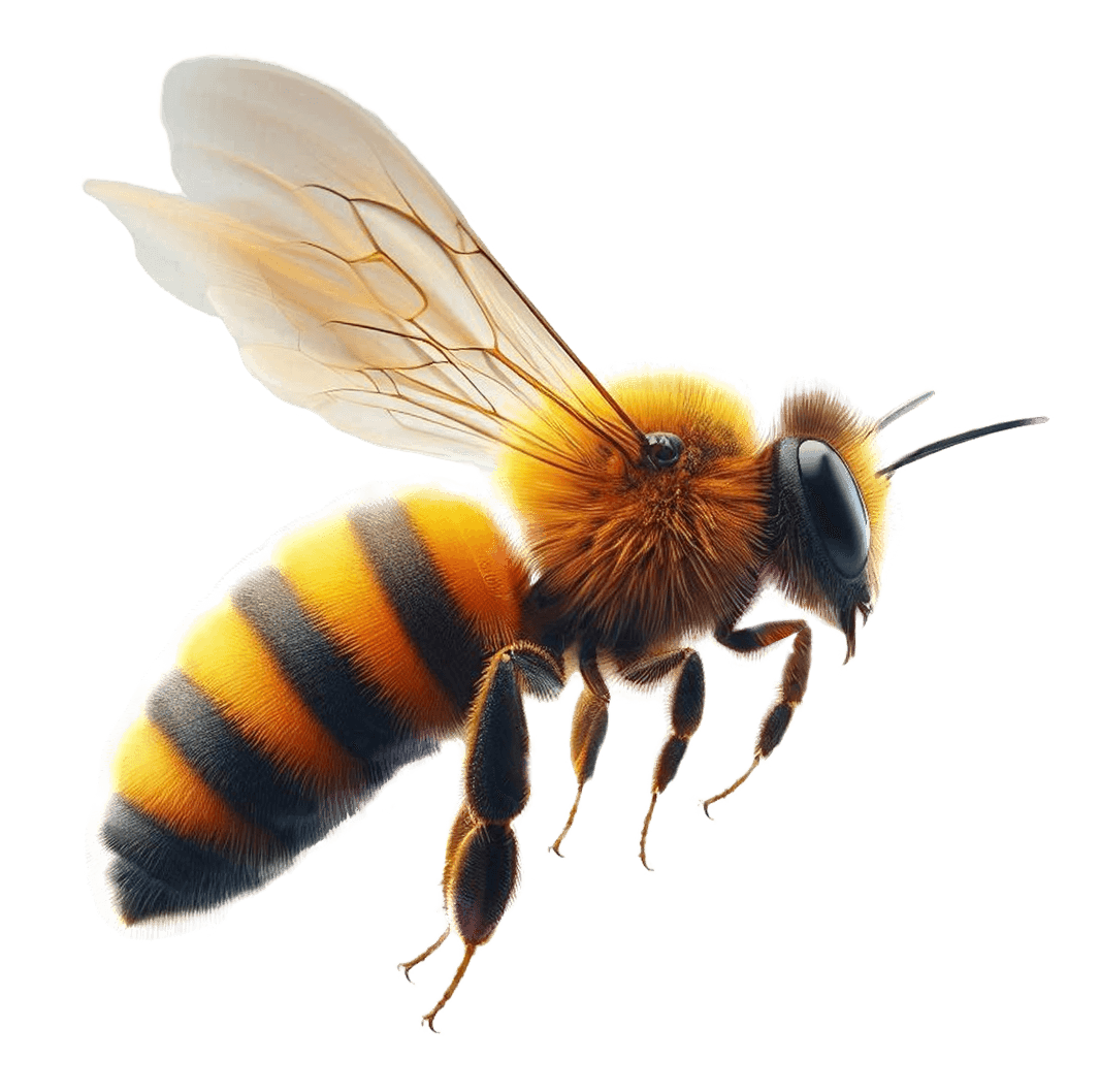 DigitBee mascot